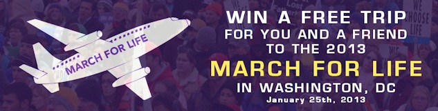 mfl-banner