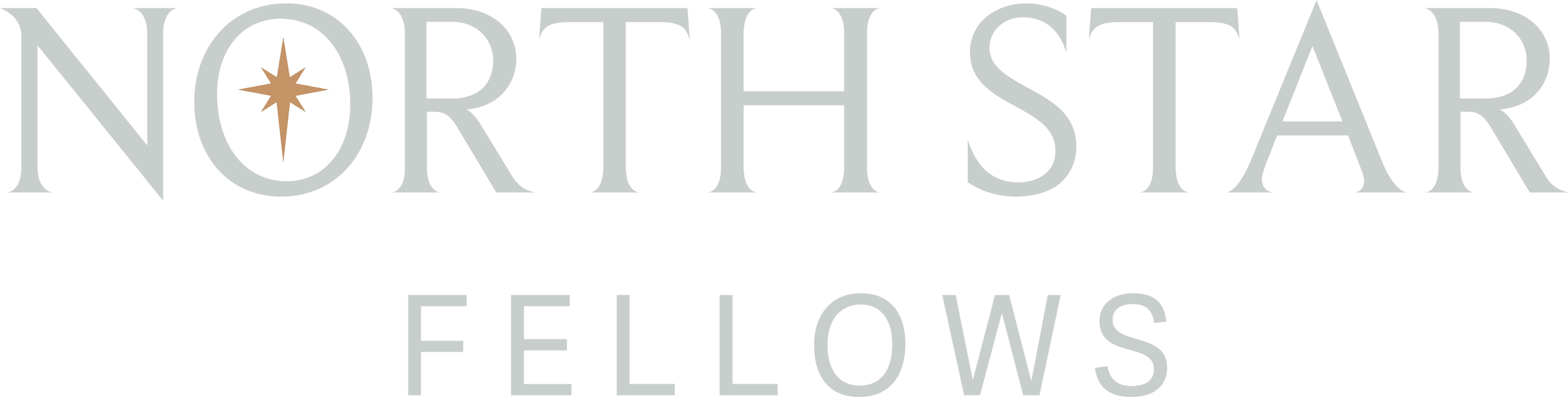 North Star Fellows Logo