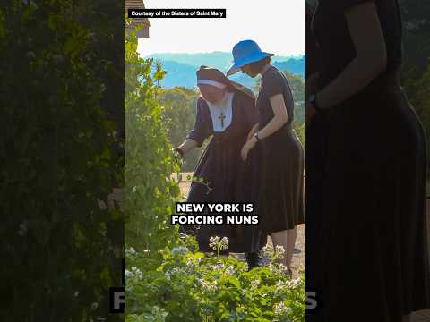 Thumbnail for Punished for serving everyone, regardless of faith: Nuns battle NY’s abortion mandate at #SCOTUS