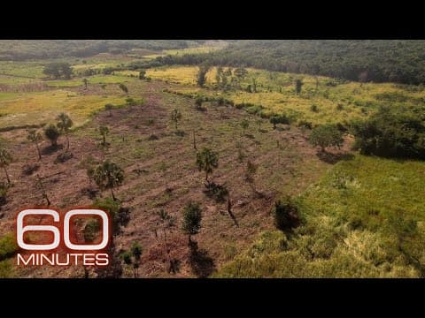 Thumbnail for Earth currently experiencing a sixth mass extinction, according to scientists | 60 Minutes