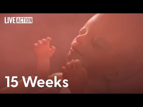 Thumbnail for We Must Protect Human Life