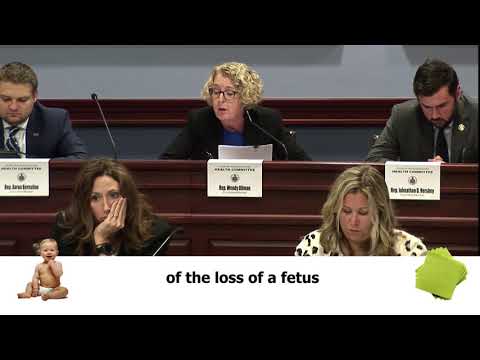 Thumbnail for PA State Representative Wendy Ullman: "Early miscarriage is just some mess on a napkin."