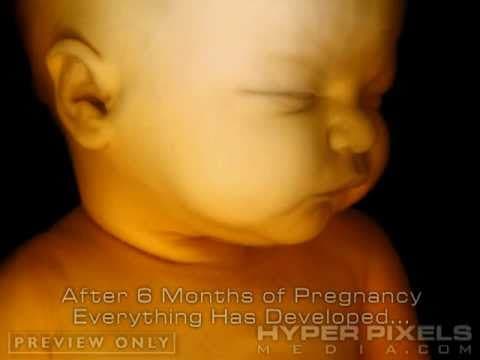 Thumbnail for 'Baby Growing in Mommy's Womb' Life is a Miracle !!! [See/Share/Care]