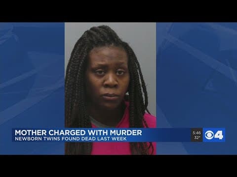 Thumbnail for Mother charged with murder after newborn twins found dead in St. Louis County