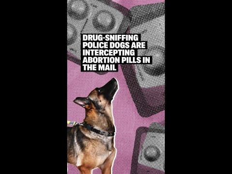 Thumbnail for Drug-Sniffing Police Dogs Are Intercepting Abortion Pills in the Mail