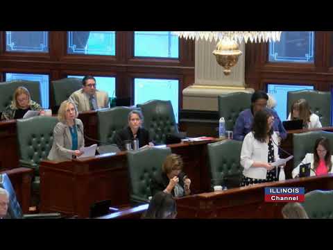 Thumbnail for First Hour of House Debate on Abortion Law Rewrite (May 2019)