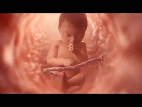 Thumbnail for The Science is Crystal Clear On The Beginning Of Life