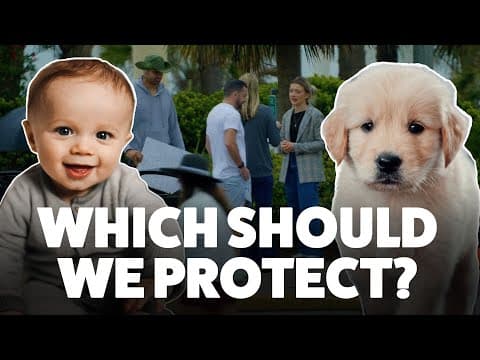 Thumbnail for Ending Puppy Abortion vs. Ending Human Abortion - Will They Sign Both Petitions?