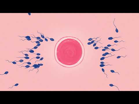 Thumbnail for Eggs and Sperm Donation Campaign
