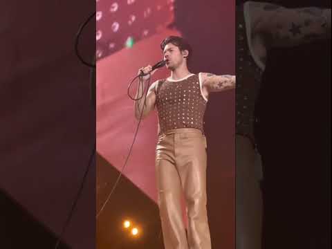 Thumbnail for Harry Styles stops concert so pregnant fan can use the bathroom
