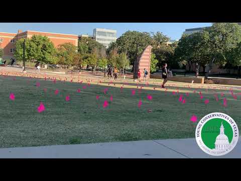 Thumbnail for Female student snatches signs from UNT abortion memorial