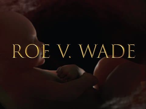 Thumbnail for ROE v. WADE The Movie