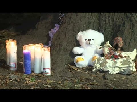 Thumbnail for Memorial grows after remains of fetus found in bag in Canarsie