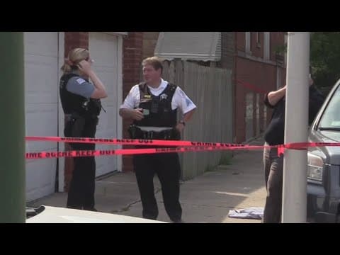 Thumbnail for Human fetus discovered on sidewalk in Galewood neighborhood, police say