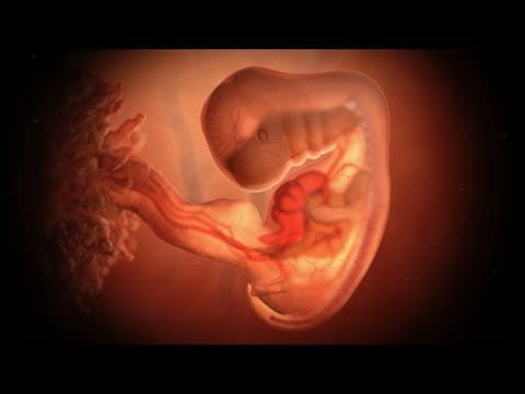 Thumbnail for Protecting babies with heartbeats from abortion