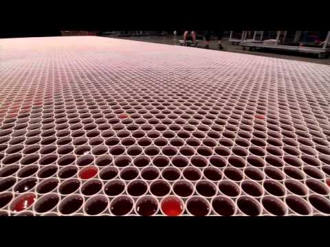 Thumbnail for THE WORLD'S LARGEST ARTISTIC (RAIN)WATER MOSAIC BY ARTIST BELO