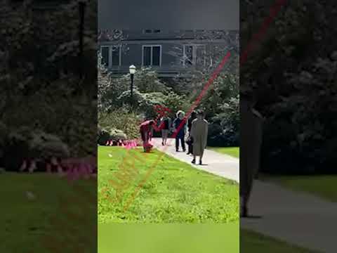 Thumbnail for Pro-Abortion students vandalize pro-life display