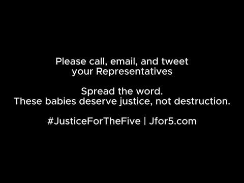Thumbnail for Their Bodies Will Be Burned | URGENT CALL TO ACTION