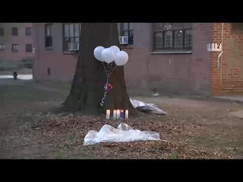 Thumbnail for Investigation into fetus found in plastic bag in Brooklyn