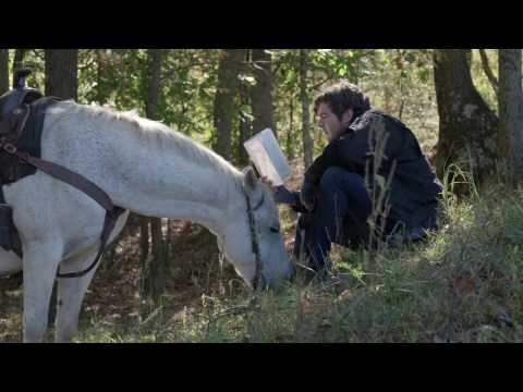 Thumbnail for Painted Horses - Find It on DVD and Digital HD Deana Carter in a Family Film Drama