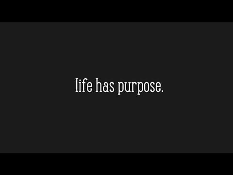 Thumbnail for "Life Has Purpose"