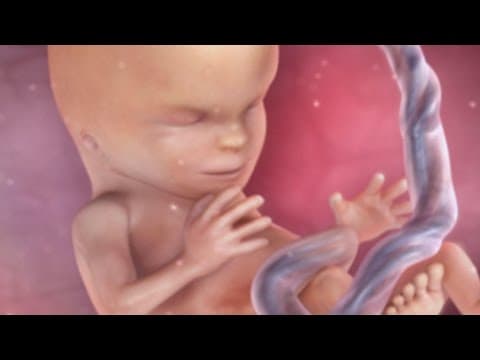 Thumbnail for Inside Pregnancy: Weeks 10 - 14 | BabyCenter