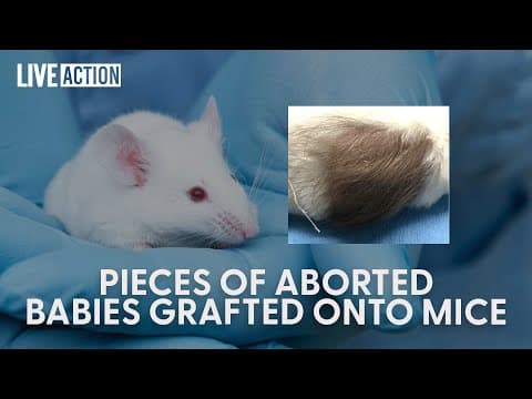 Thumbnail for Stop Experimenting On Murdered Babies