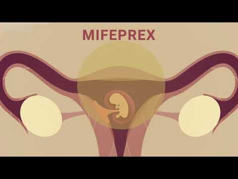 Thumbnail for Abortion Pill Explainer