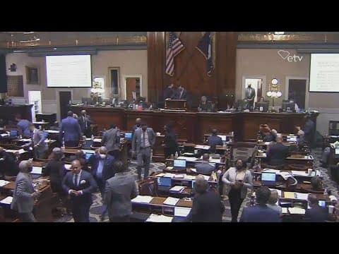 Thumbnail for Democrats walk out during South Carolina abortion bill debate