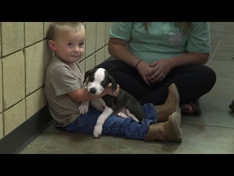 Thumbnail for Local boy finds companion in dog from animal shelter