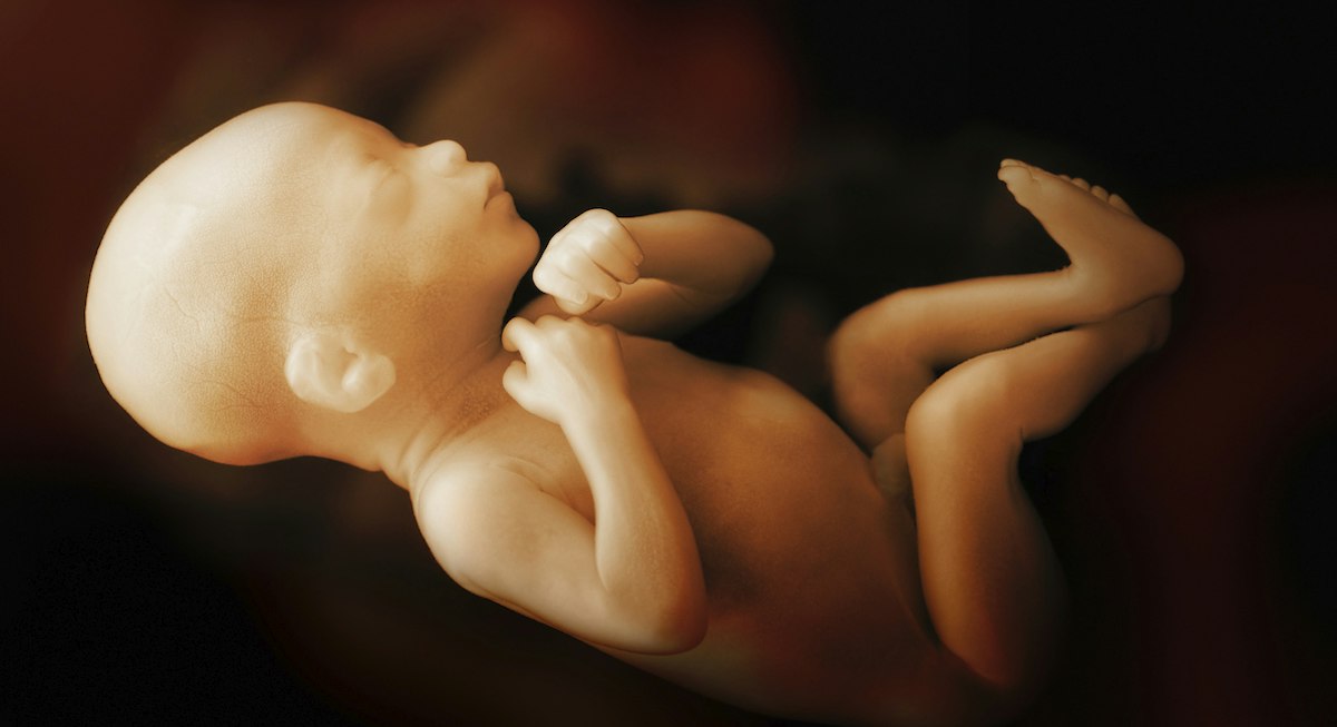 Doctors once denied born babies could feel pain. Abortionists denying ...