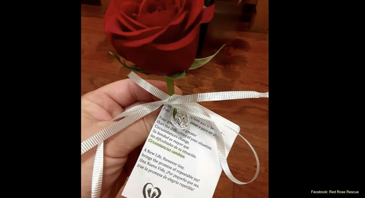 Four pro-lifers sentenced for ‘Red Rose Rescue’ action in Michigan ...
