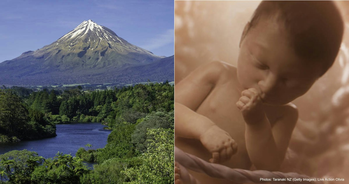 New Zealand grants ‘personhood’ to a mountain… but not to prenatal ...