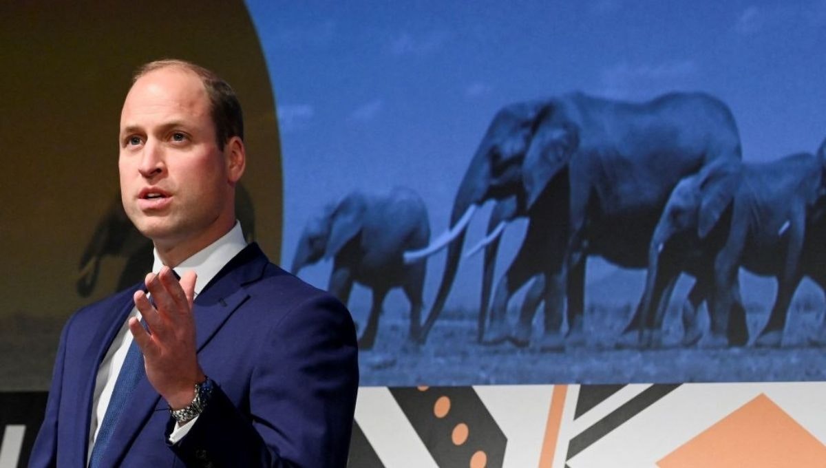 Prince William claims Africa’s ‘human population presents a huge challenge’ | Live Action