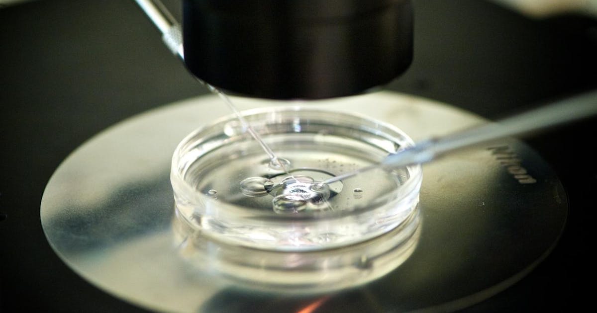 GUEST OPINION: Why Singapore’s fertility crisis won't be solved by commodifying human life