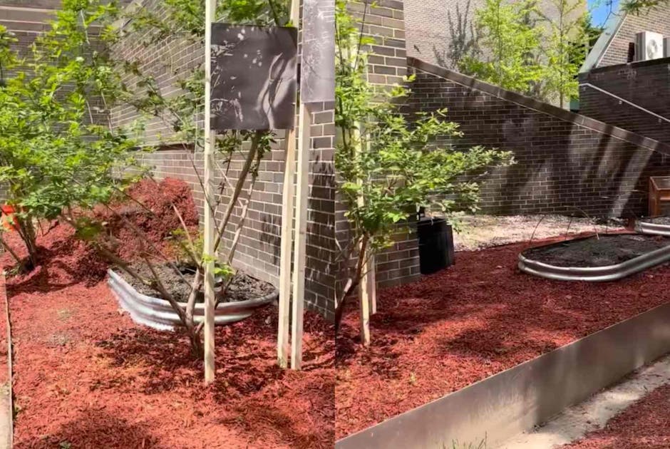 New York college's ‘reproductive justice garden’ has 'abortifacient' plants
