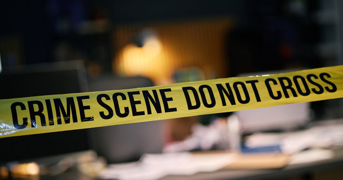 Man given 34 years for murder of pregnant woman