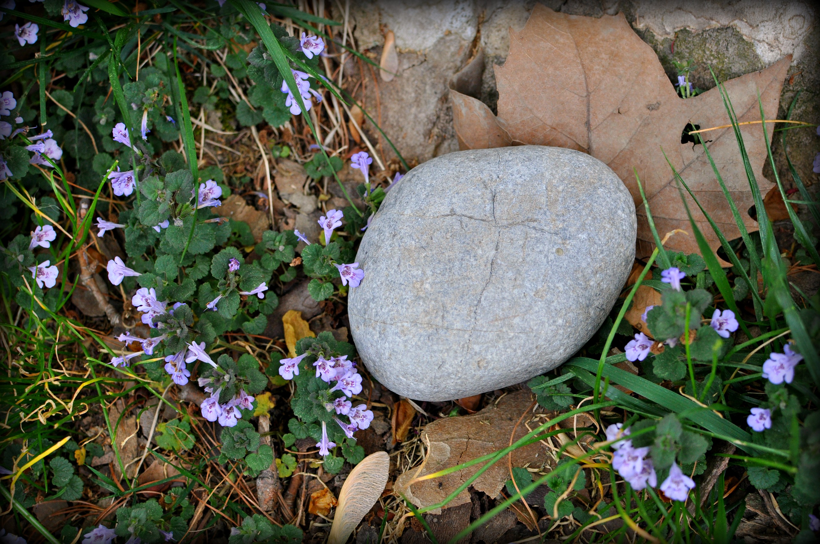 Memorial Stone