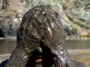 mud. mess