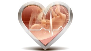 The loss of a baby before birth creates an unspeakable void for all too many women.