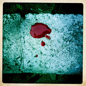 Don't let anyone forget the blood (Photo credit: bedrocan on Flickr)