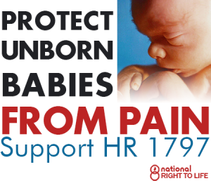 Shouldn't we be protecting them from murder?