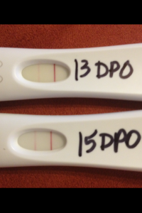 Proof that my baby existed. And yes, I peed on these, get over it.