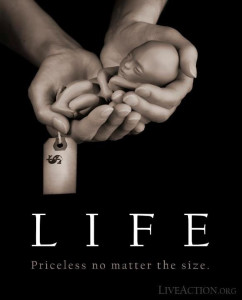 priceless life, hands, baby