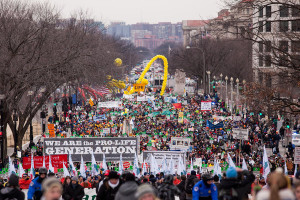 000march2013