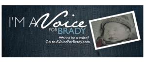 Brady Amendment campaign