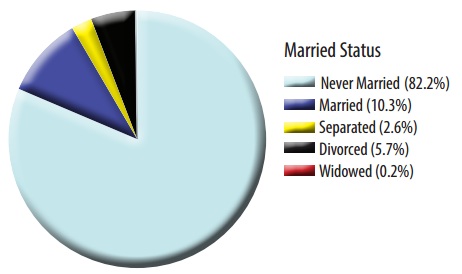 Ohio 2013 abortion report marriage status