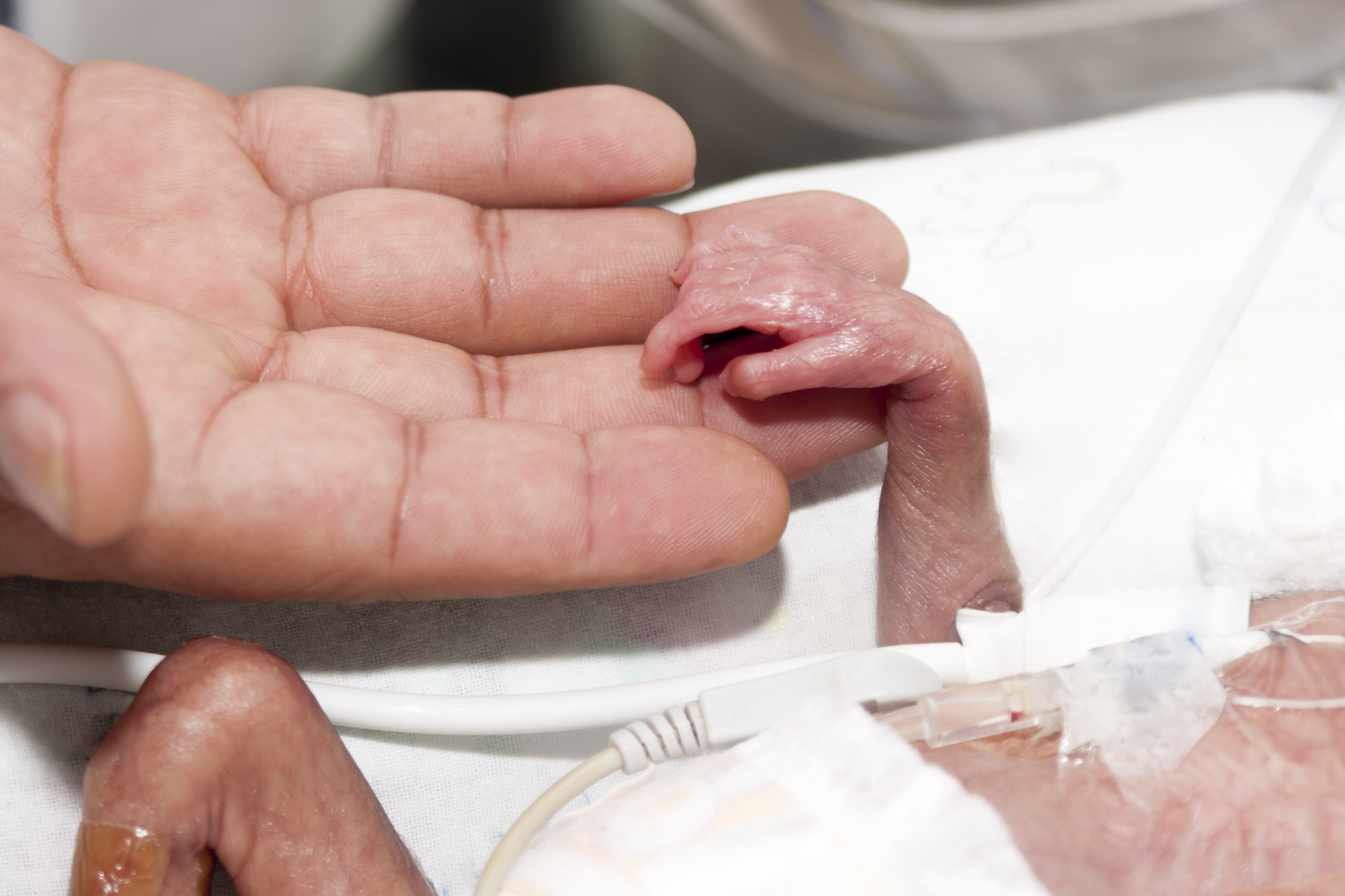 premature baby in hand