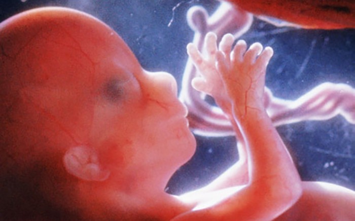 A human baby at 24 weeks, just outside the first trimester