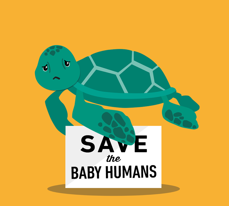 turtle-save-the-baby-humans-1